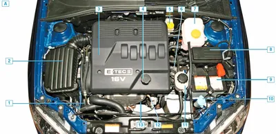 Chevrolet Lacetti Расположение основных узлов и агрегатов автомобиля  Шевроле Лачетти