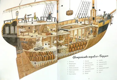 Теория и устройство судна: конструкция специальных судов. Учебное пособие  для СПО