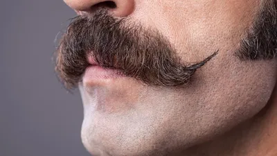 Виды бород которые должен попробовать каждый мужчина | Барбершоп «Kontora»  Екатеринбург