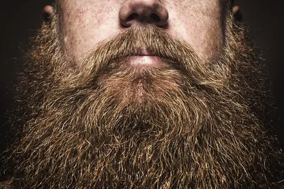 Длинная борода и усы | Борода, Стрижки бороды, Бородатый мужчина