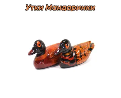 В столице Урала запретили объявление о продаже утки-мандаринки