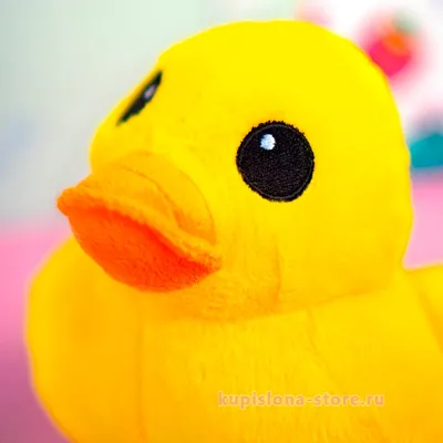Игрушка Funny ducks для ванной Желтая уточка 1607 купить по цене 490 ₽ в  интернет-магазине Детский мир