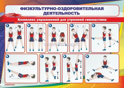 Плакат: Комплекс упражнений для утренней гимнастики | В детский сад