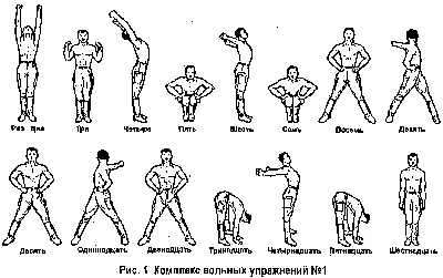 Утренняя гимнастика упражнения