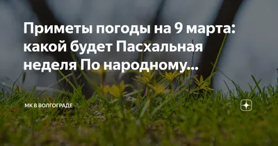 Программа «Телеканал «Доброе утро»» : актеры, время выхода и описание на  Первом канале / Channel One Russia