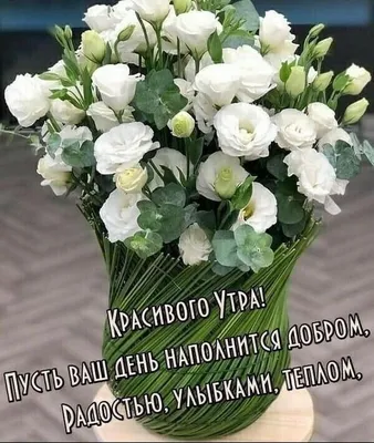 Фото Сычева Любовь в Instagram • 2 марта 2021 г. в 9:36 | Белые цветочные  композиции, Цветочные корзины, Растения