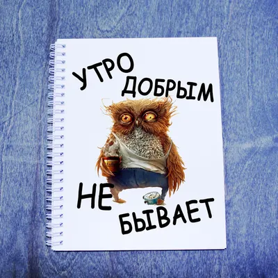 Тетрадь в клетку A5 (2шт.), 48 листов, утро добрым не бывает - купить с  доставкой по выгодным ценам в интернет-магазине OZON (675646400)