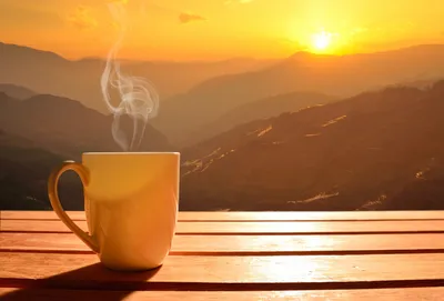 Скачать обои солнце, рассвет, кофе, утро, чашка, hot, coffee cup, good  morning, раздел настроения в разрешении 4252x2883