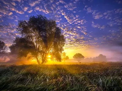 Красивый утренний рассвет - 60 фото