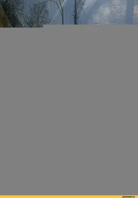 Чехол для iphone 12 бампер с рисунком Узбагойся лемур ТвойГаджет 146808239  купить за 369 ₽ в интернет-магазине Wildberries
