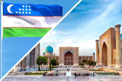 Готовность Узбекистана вести бизнес с режимом талибов: выигрывает не только  Ташкент? – K-News