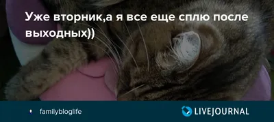 вторник #кумар #раскумар #tiktok #tiktok | TikTok