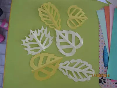 Обои флизелиновые Decoracion Узорные листья 4 м цвет зеленый  7051402-vinil-280x100x4 по цене 7820 ₽/шт. купить в Твери в  интернет-магазине Леруа Мерлен