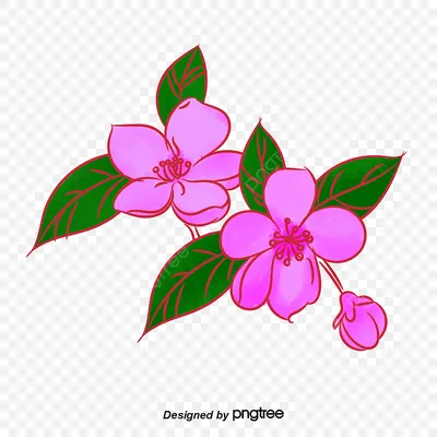 фиолетовые цветы декоративные цветочные узоры PNG , декоративные узоры,  фиолетовый цветок, цветочный узор PNG картинки и пнг PSD рисунок для  бесплатной загрузки