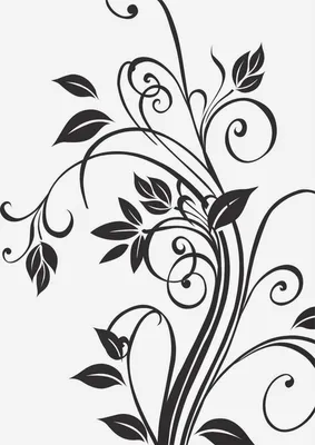 Набор цветочный рисунок. Рисунки цветов и лист. Черно-белый с линией  искусством на белых помещениях. Нарисованная рука Иллюстрация вектора -  иллюстрации насчитывающей листья, лилия: 213476138