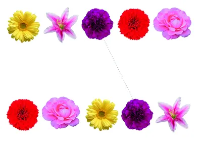 Цветочный Орнамент Традиционный Декоративный Узор Дизайн Цветок Резки  Бумаги PNG , Цветы, Традиционные праздничные элементы, Цветы вырезанные из  бумаги PNG картинки и пнг PSD рисунок для бесплатной загрузки