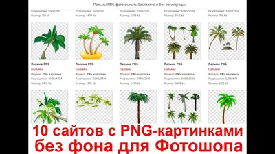 10 сайтов с готовыми PNG картинками без фона для Фотошопа где скачать  бесплатно. - YouTube