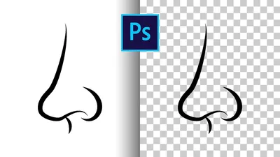 How to remove white background in Photoshop and save as PNG - YouTube