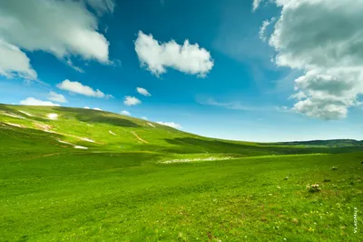 HD-фото пейзаж альпийские луга Лагонаки