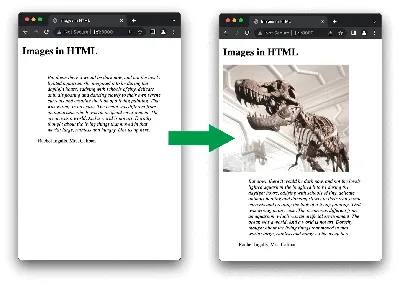 How to export Figma to HTML - Anima Blog