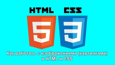 CSS HTML Validator Screenshots
