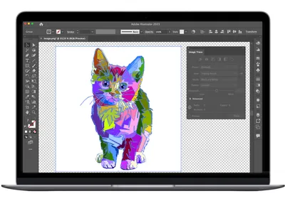 Adobe Illustrator vs Photoshop: Key Differences in 2024