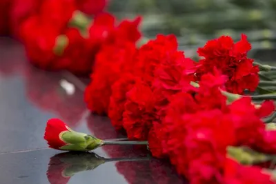 16 мая – Международный День памяти людей, умерших от СПИДа - ГУЗ  «Гомельская городская клиническая поликлиника №8»