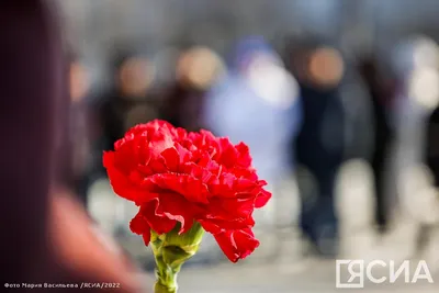 В столице Франции прошла акция в память о погибших детях Донбасса -  Общество - ДАН
