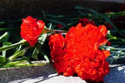 В Омске почтили память погибших сотрудников - Новости - Главное управление  МЧС России по Омской области