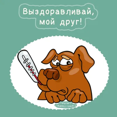 Ответы Mail.ru: ЧТО написать на плакате в поддержку подруги на конкурсе  мисс осень