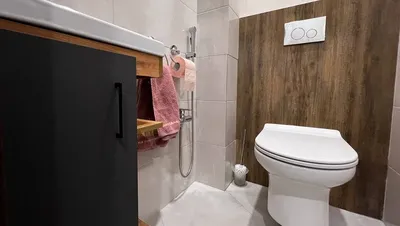 Современный туалет в туалете отеля Стоковое Фото - изображение  насчитывающей афоризмов, уборный: 162185418