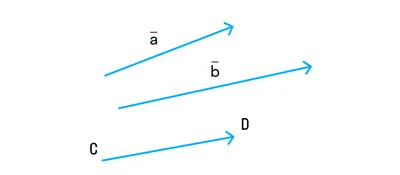 Что такое вектор, как найти длину? Координаты? Формулы