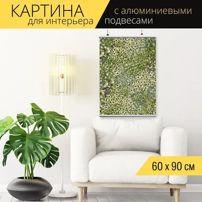 Квартира 107 м² в зеленых тонах в Москве | myDecor