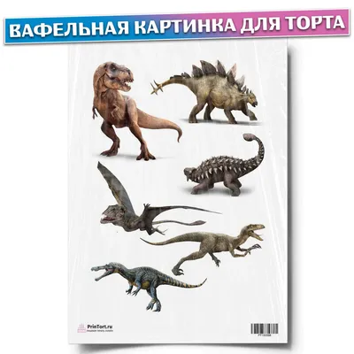 Вафельная картинка №11 Динозавры фотопечать на торт: продажа, цена в  Днепропетровской области. Кондитерский декор от \"«Браво пряник»\" -  1582473316