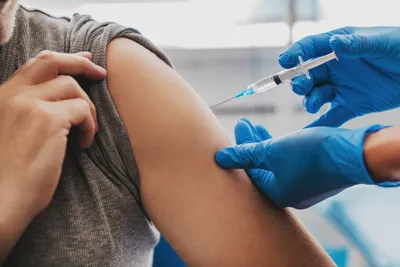 Вакцинация от краснухи - Поставить прививку | Частная клиника «Династия» |  Екатеринбург