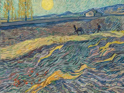 NEWSru.com :: Картину Ван Гога, написанную им в психушке, продали за 81,3  млн долларов