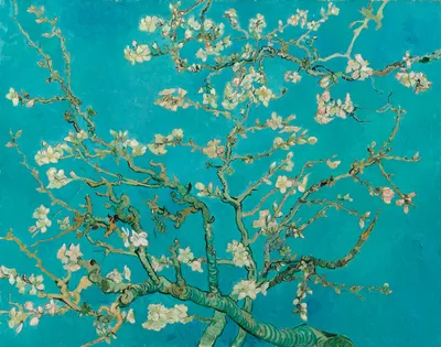 Картину Ван Гога продали за рекордные 117 миллионов долларов | Sobaka.ru