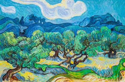 Картина Копия картины Ван Гога \"Оливковые деревья\" (копия Анджея  Влодарчика) 60x90 VG230207 купить в Москве