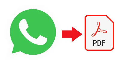 WhatsApp передумал по поводу «видеокружочков». Что произошло | РБК Life
