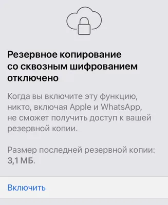 Как скачать и установить WhatsApp 2024: пошаговая инструкция по скачиванию  WhatsApp в России, установке на компьютер, ноутбук, iPad, iPhone, смартфон  и планшет на Android и активации приложения