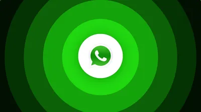 WhatsApp Revenue and Growth Statistics (2024) | SignHouse