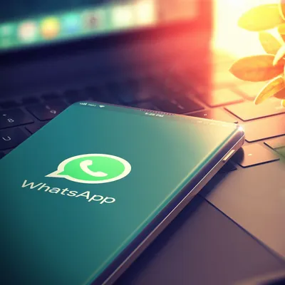 WhatsApp — Приложения Майкрософт