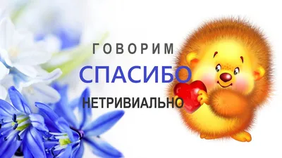 Сахалинские мультфильмы цикла \"Безопасность – это важно\" показывают в  Сербии - SakhalinMedia.ru