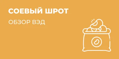 50 вариантов сказать СПАСИБО нетривиально. Важно уметь выразить слова  благодарности людям за все хорошее, что они сделали | ФОТО ЖИЗНИ ДВОИХ |  Дзен