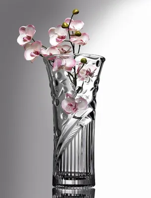 Ваза для цветов Pasabahce Perla 25 см - купить по лучшей цене в Алматы от  компании \"Umposuda.kz\" - 54960701