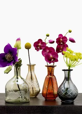 Как выбрать вазу для букета. Подбираем форму и размер вазы для цветов - ЛАУН