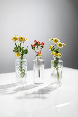 Мини вазы Helen, комплект из трех красивых вазочек, набор из трёх  стеклянных ваз для маленьких цветков, в подарок - купить вазу в  интернет-магазине OZON по выгодной цене (547084630)