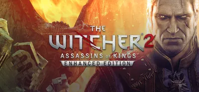80% The Witcher 2: Assassins of Kings Enhanced Edition on GOG.com