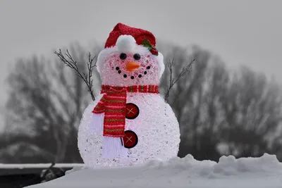 Снеговик, веселый, на голове ведро, …» — создано в Шедевруме