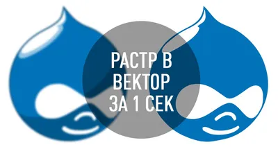 Вектор (завод) — Википедия